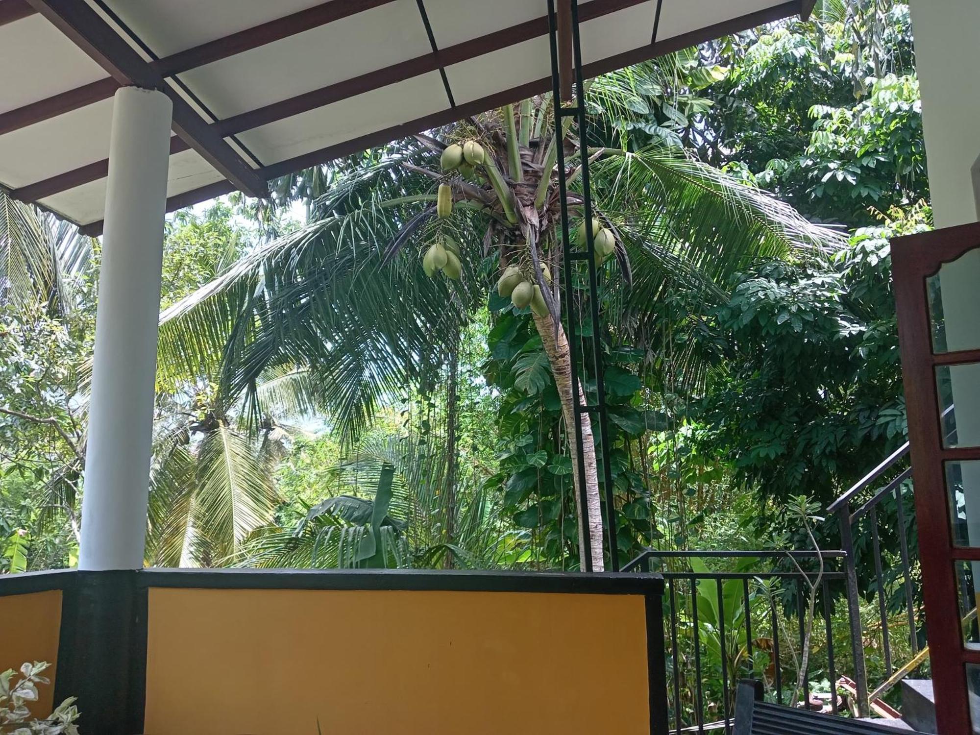 Freedom House Villa Unawatuna Kültér fotó