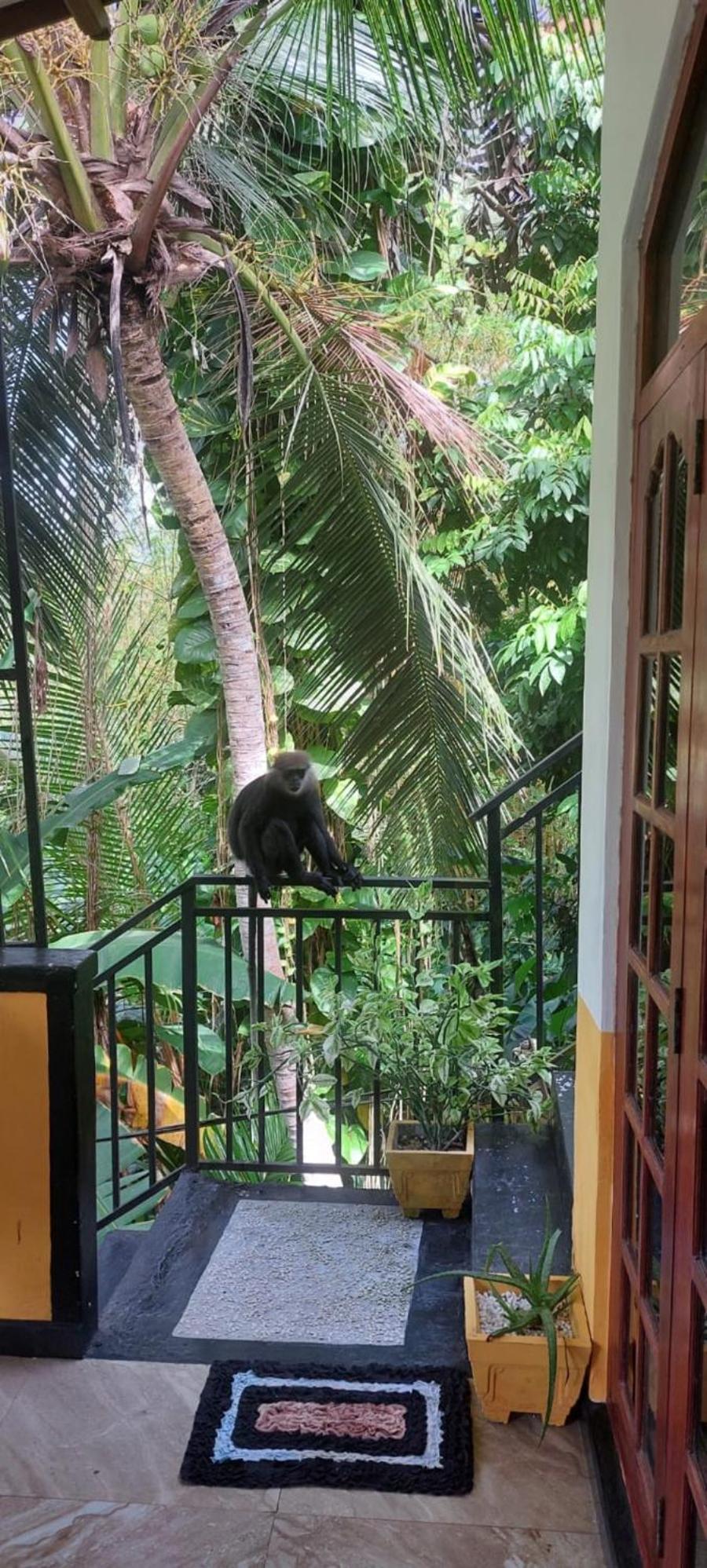 Freedom House Villa Unawatuna Kültér fotó